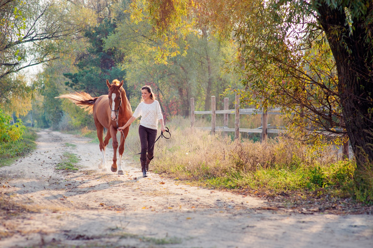 horse and owner