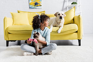 Pet Info